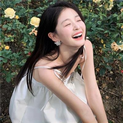 假元首秘纪