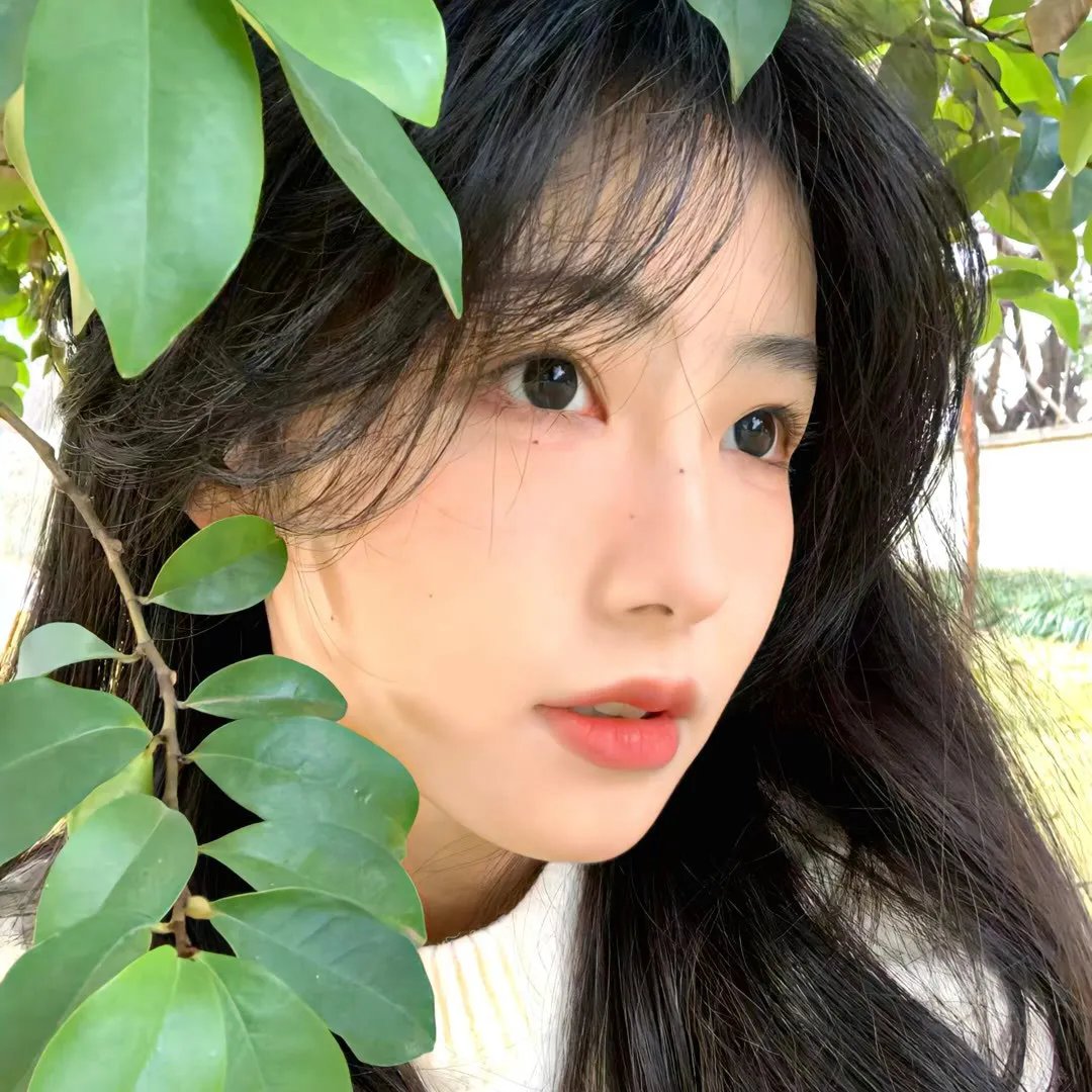 玫瑰皇后